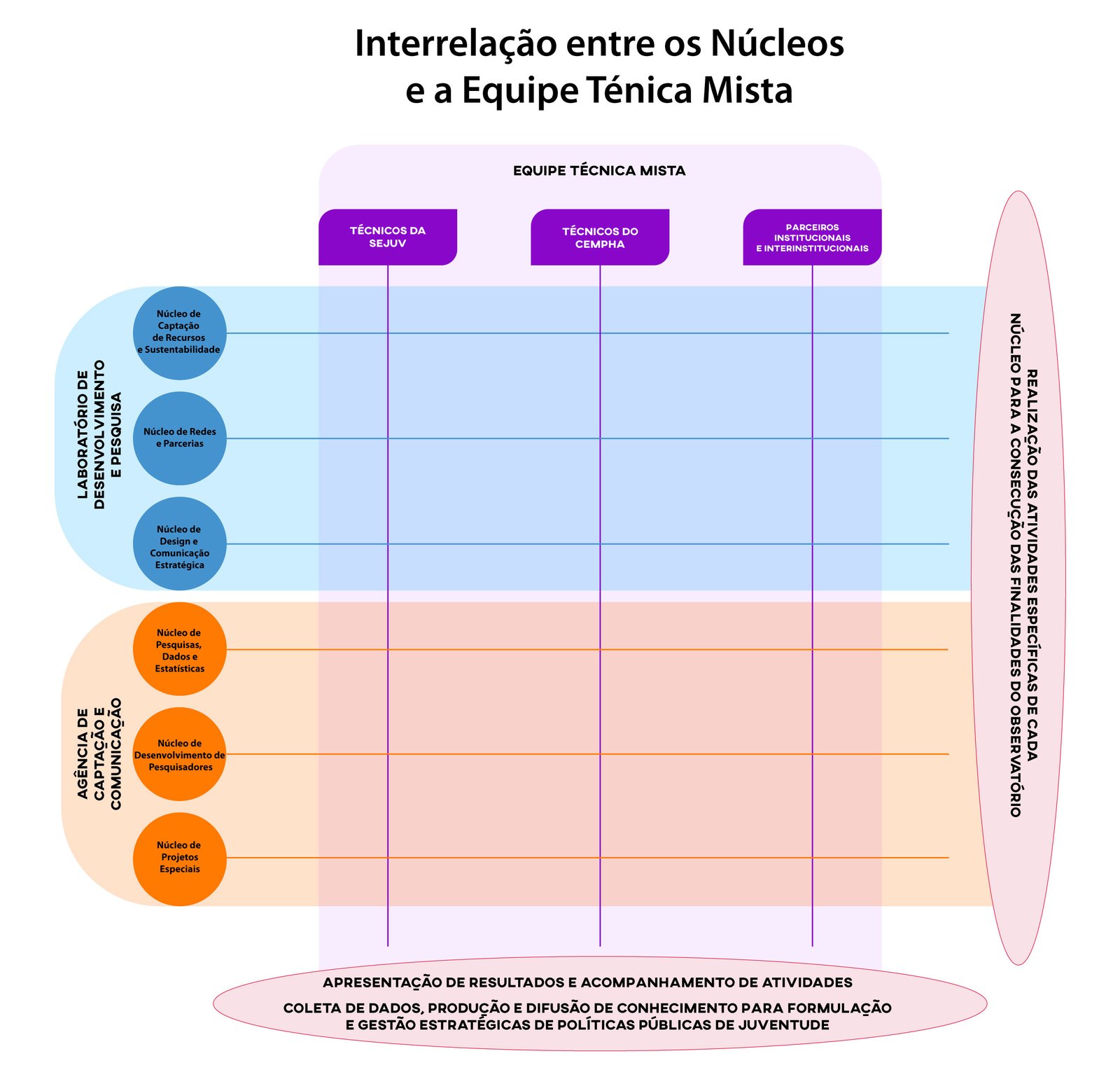 Figura 4 – Inter-relação entre os núcleos e a Equipe Técnica Mista