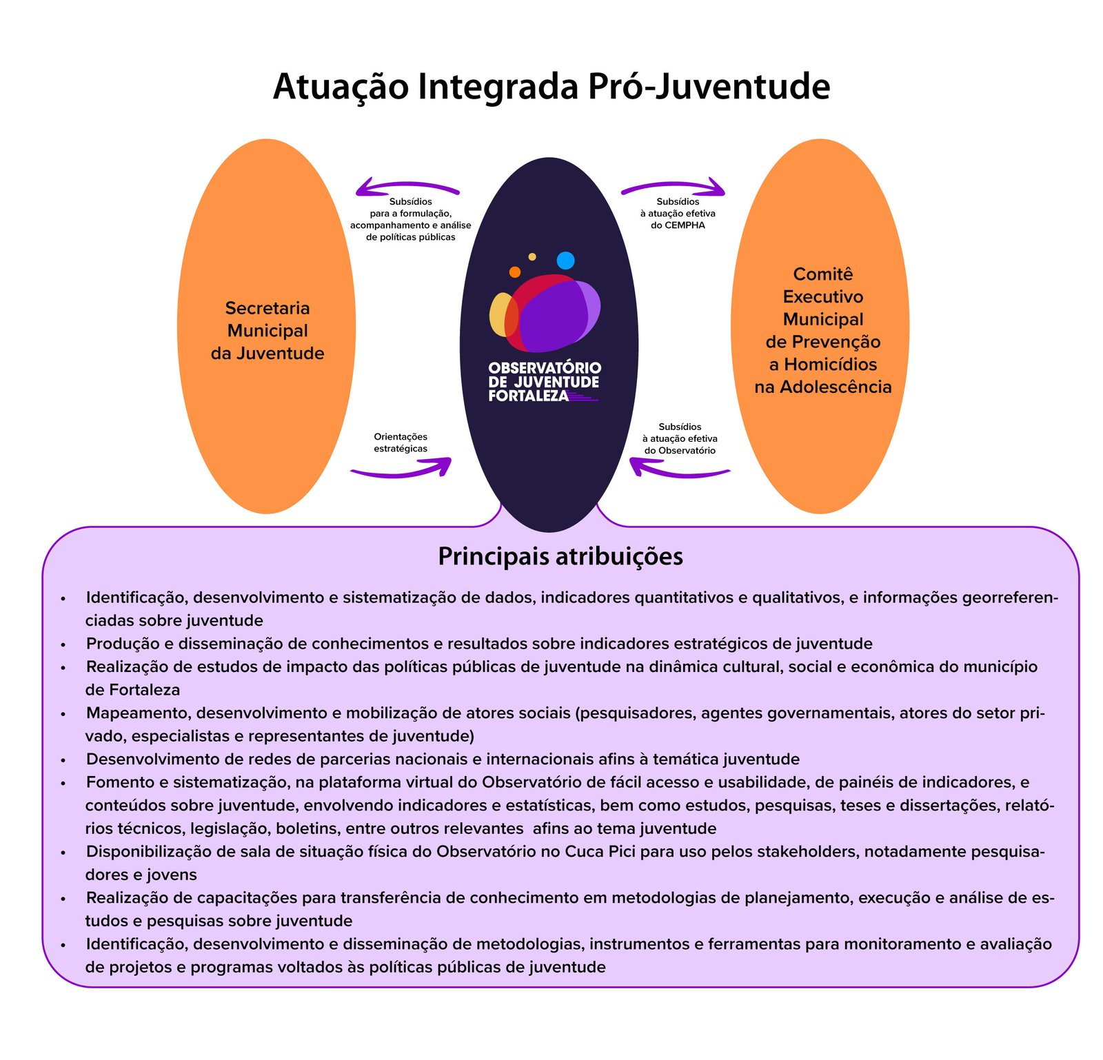 Figura 3 – Atuação integrada pró-juventude
